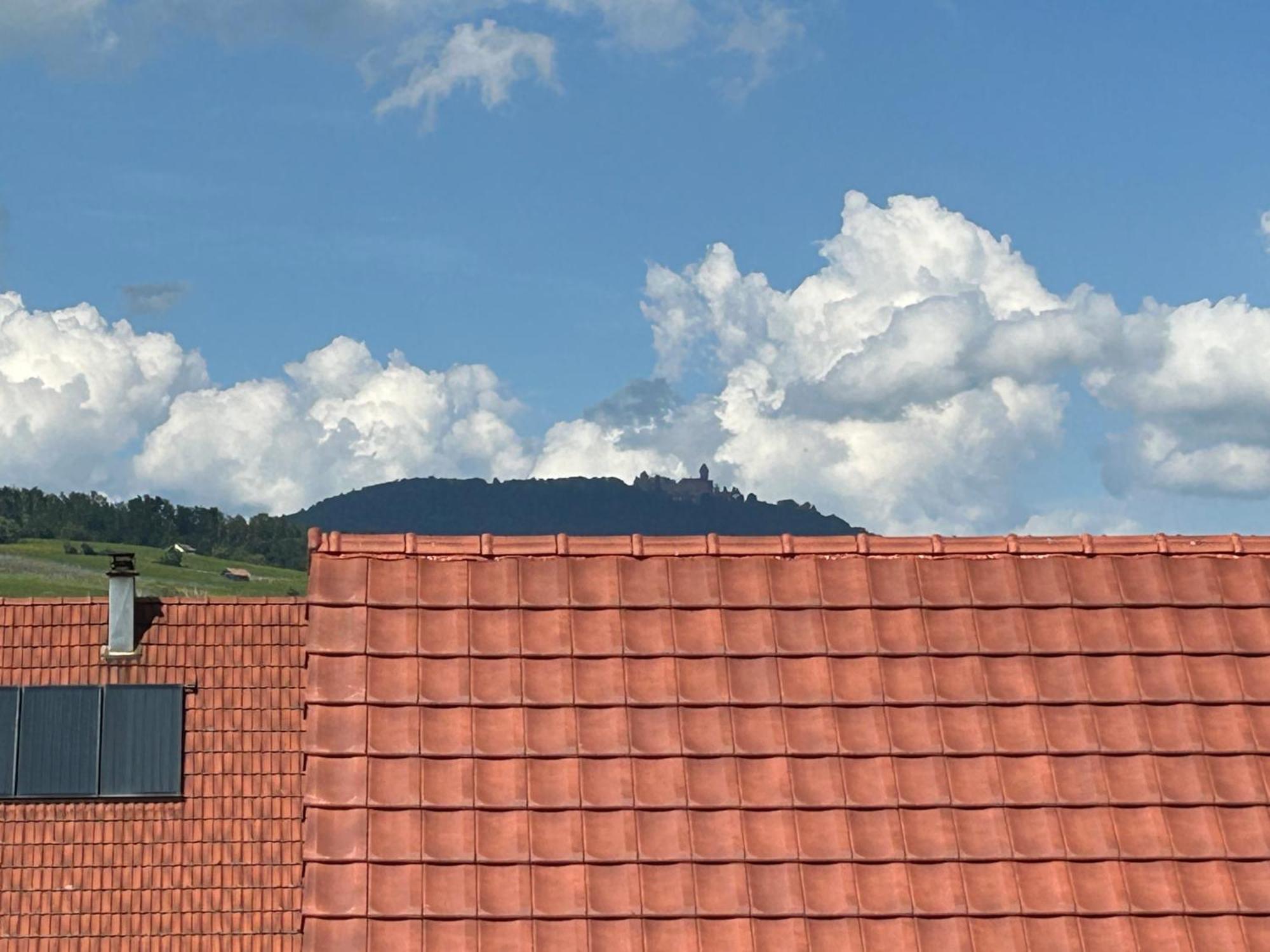 Gite Neuf En Duplex Tout Confort Ribeauvillé Kültér fotó